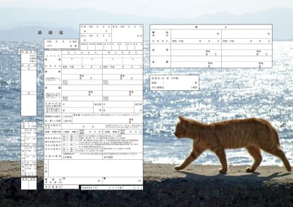 お散歩ネコ コンビニプリント婚姻届